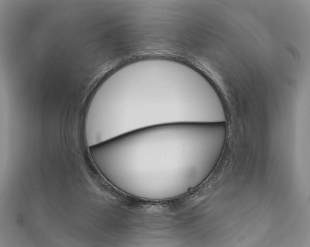 X0000111200115200907011038