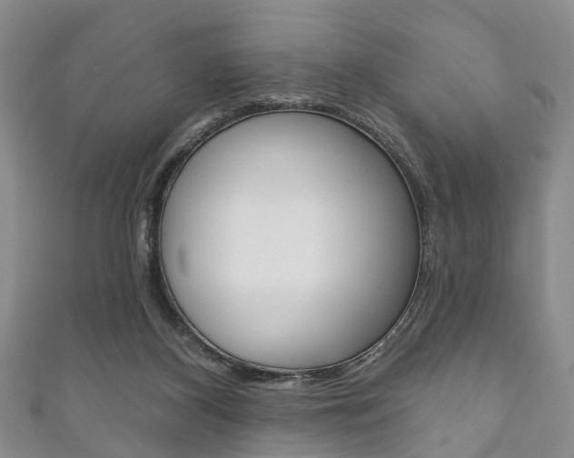 X0000111200116200907011038