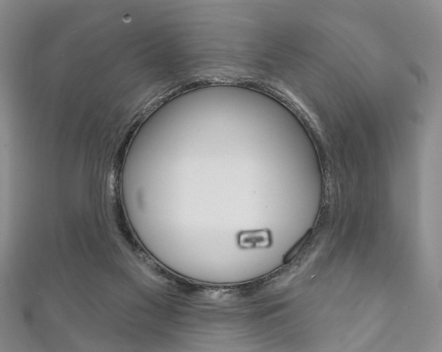 X0000111200117200907011038