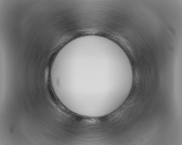 X0000111200118200907011038