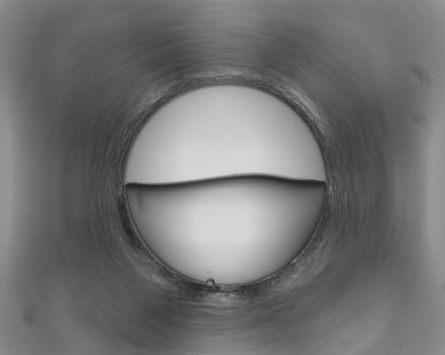 X0000111200119200907011038