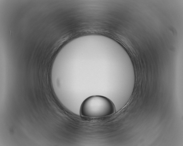 X0000111200120200907011038