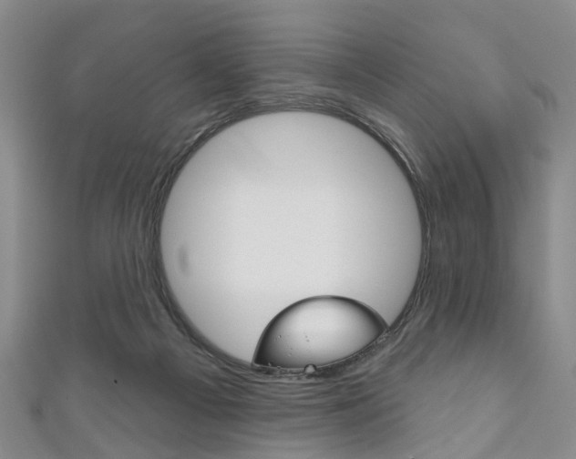 X0000111200121200907011038