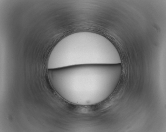 X0000111200127200907011038