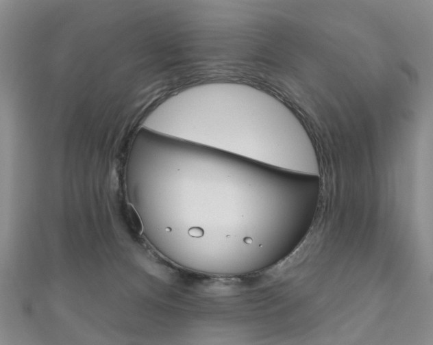 X0000111200128200907011038