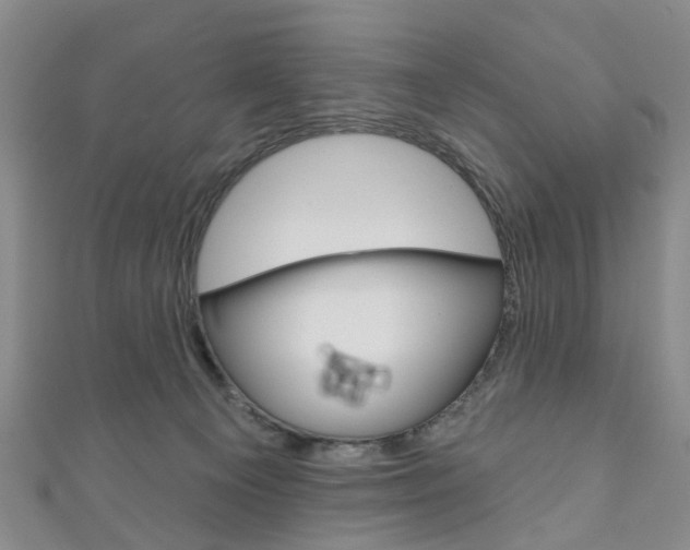 X0000111200129200907011038