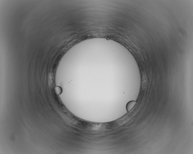 X0000111200130200907011038