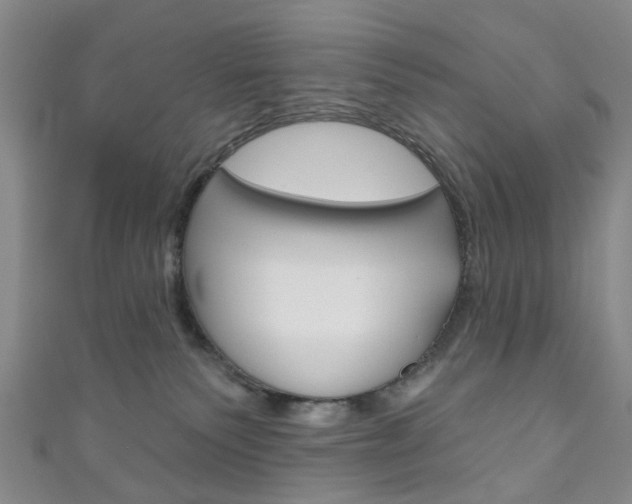 X0000111200135200907011038