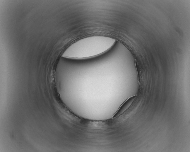 X0000111200137200907011038