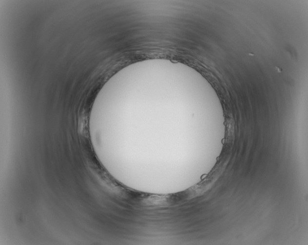 X0000111200138200907011038
