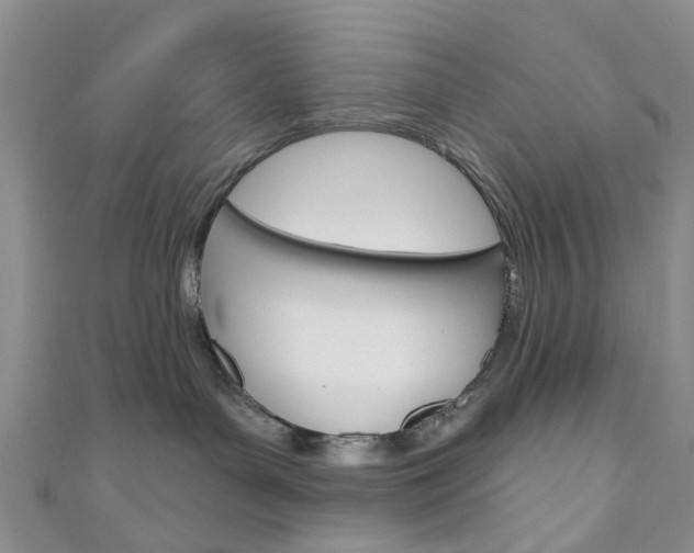 X0000111200143200907011038