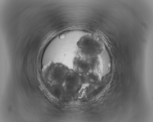 X0000111200145200907011037