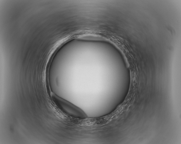X0000111200148200907011037