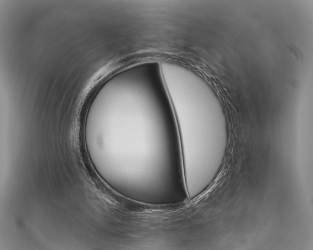 X0000111200150200907011037