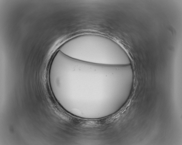 X0000111200151200907011037