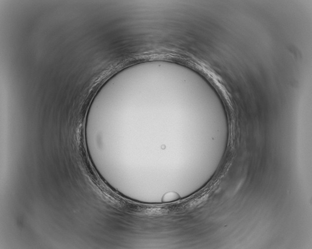 X0000111200153200907011037