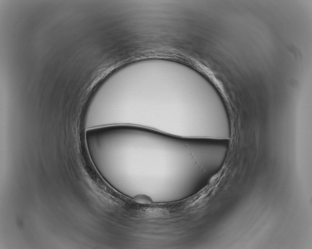 X0000111200154200907011037