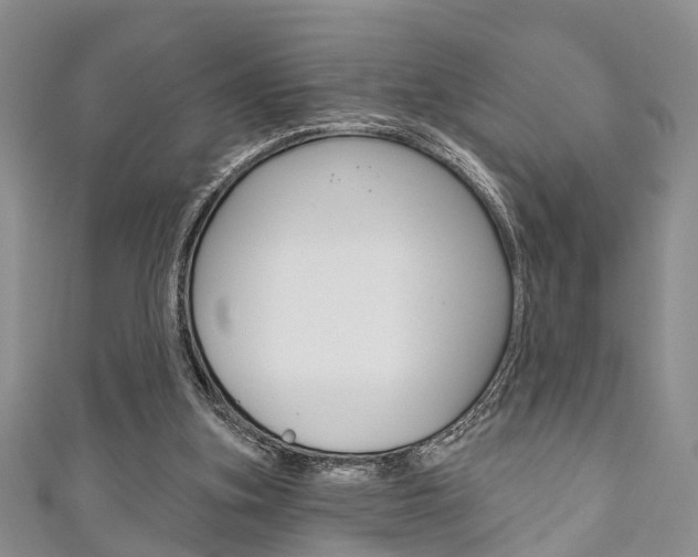 X0000111200155200907011037