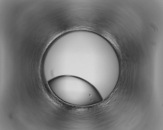 X0000111200156200907011037