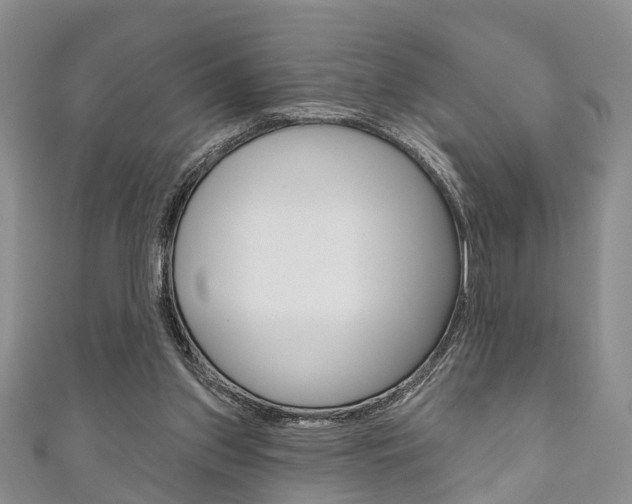 X0000111200157200907011037