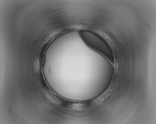 X0000111200158200907011037