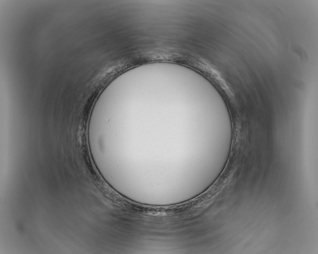 X0000111200161200907011037