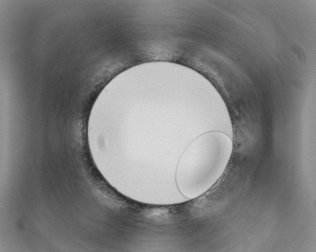 X0000111200162200907011037
