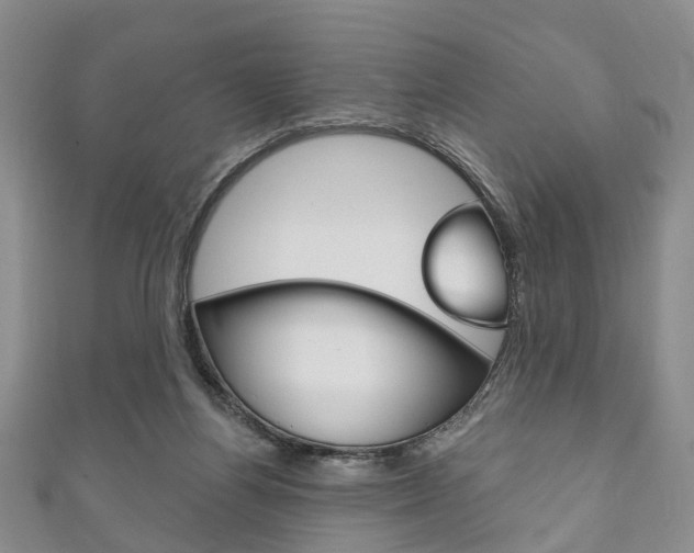 X0000111200164200907011037