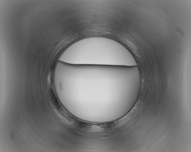 X0000111200166200907011037