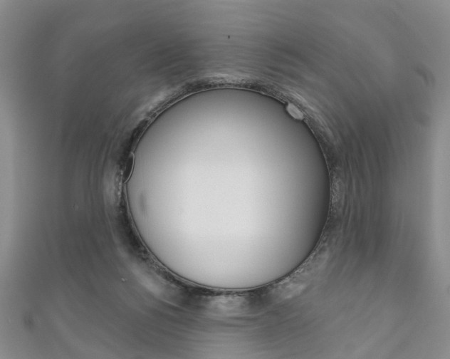 X0000111200168200907011037