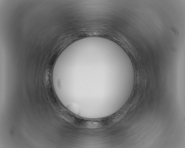 X0000111200169200907011037