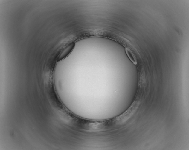 X0000111200172200907011037