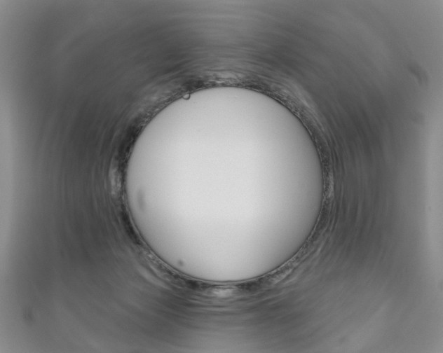 X0000111200173200907011037