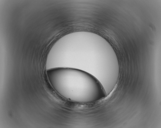 X0000111200174200907011037