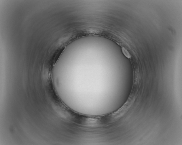 X0000111200176200907011037