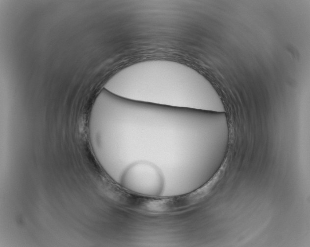 X0000111200178200907011037