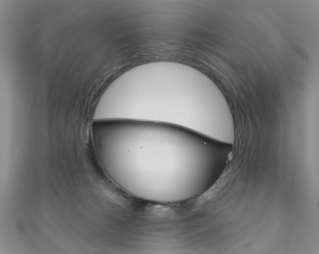 X0000111200180200907011037