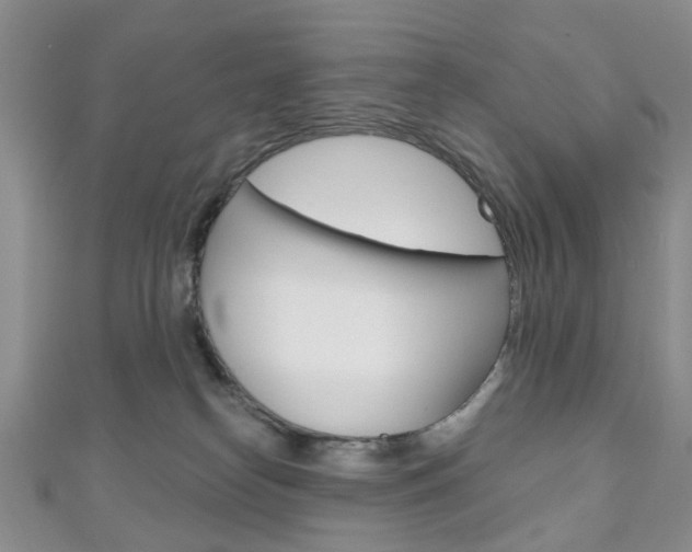 X0000111200182200907011037