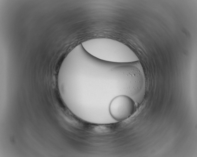 X0000111200183200907011037