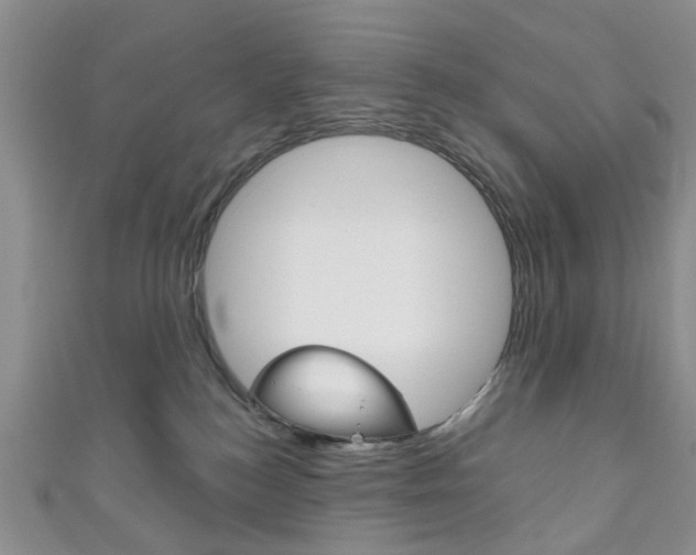 X0000111200184200907011037