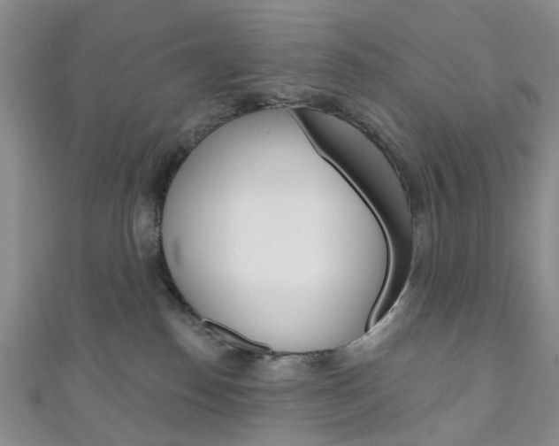 X0000111200186200907011037
