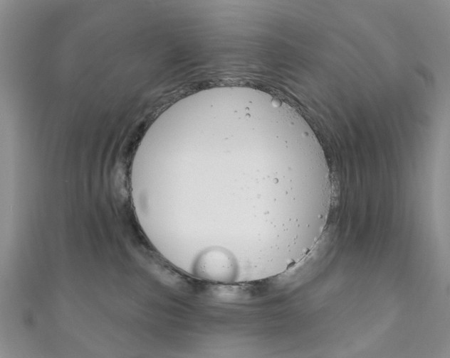 X0000111200187200907011037