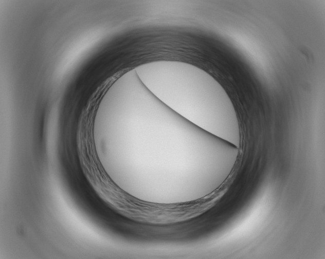 X0000111200191200907011037