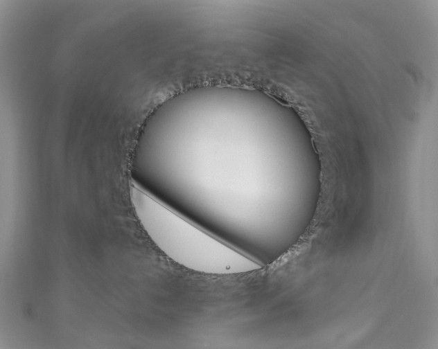 X0000111200192200907011037