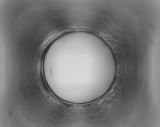 X0000111200194200907011037