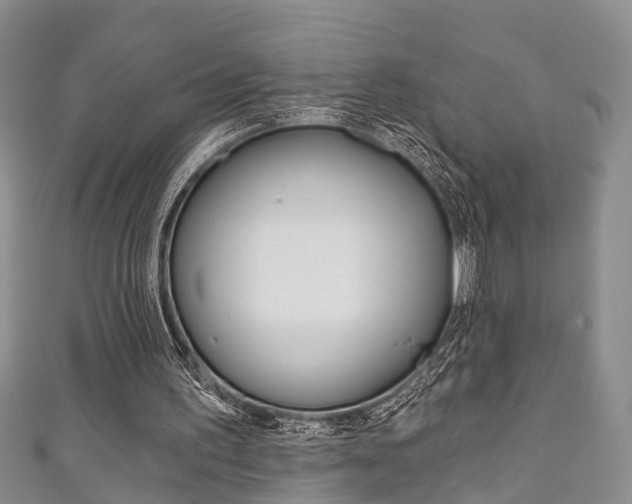 X0000111200195200907011037
