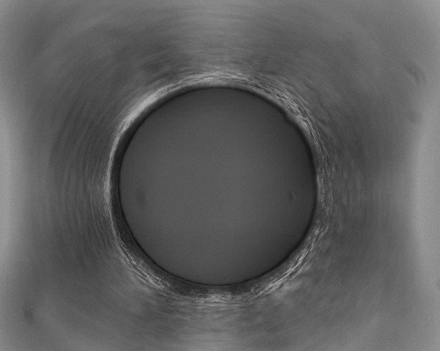 X0000111200196200907011037