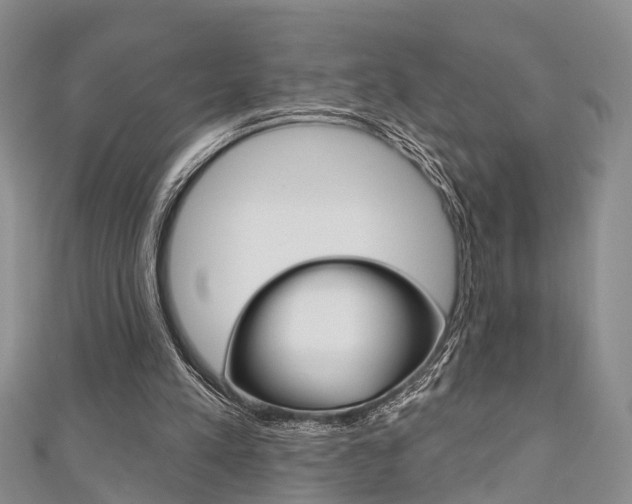 X0000111200197200907011037