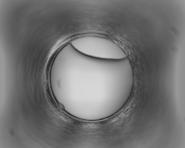 X0000111200198200907011037