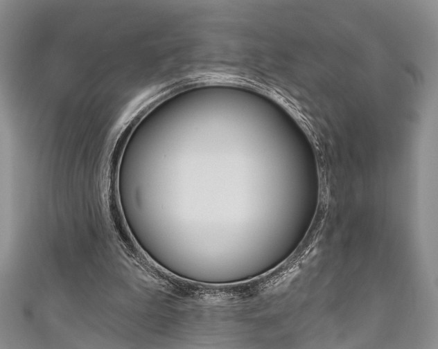 X0000111200199200907011037
